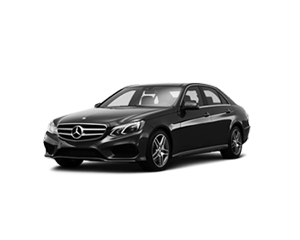 Executive